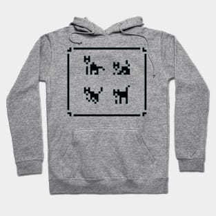 cat in the box Hoodie